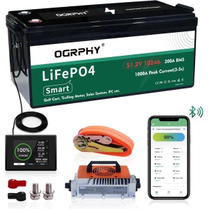 OGRPHY 12V Lithium Battery Terminal Conversion Kit, M8 Battery Terminal to SAE Post with Covers, Brass Battery Terminal Connectors for LiFePO4 Battery, Car, RV, Marine, Solar